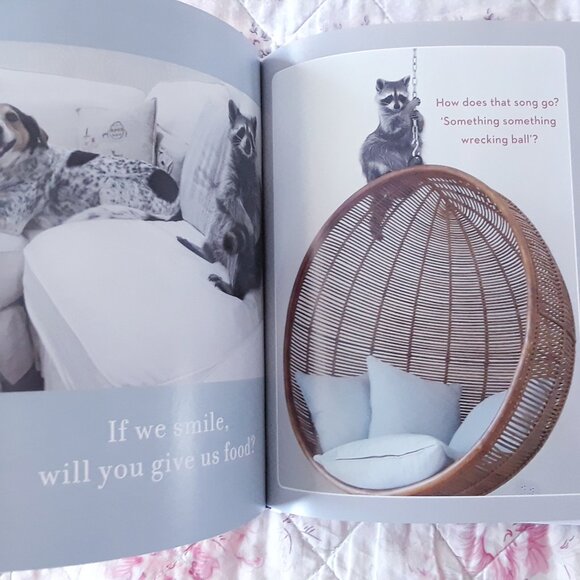 Pumpkin The Raccoon Book - Picture 7 of 9